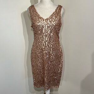 Pretty Guide Sequin Dress